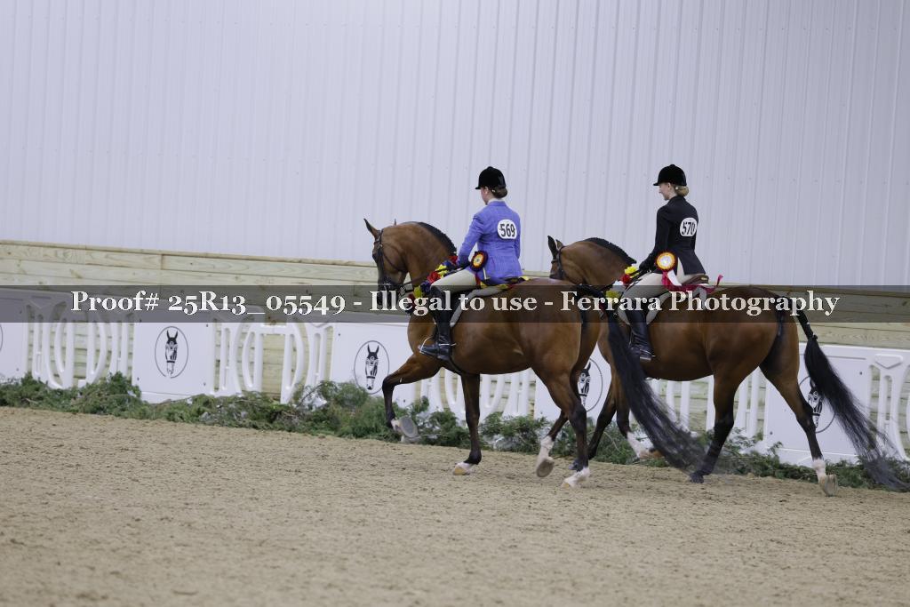 Proof Number 25R13_05549