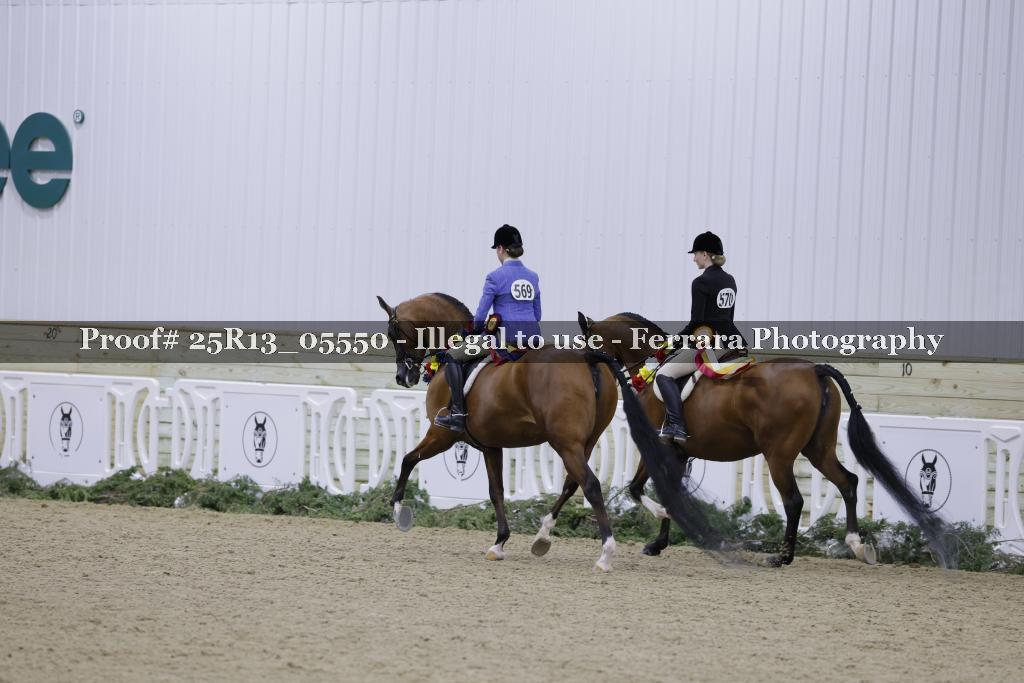 Proof Number 25R13_05550
