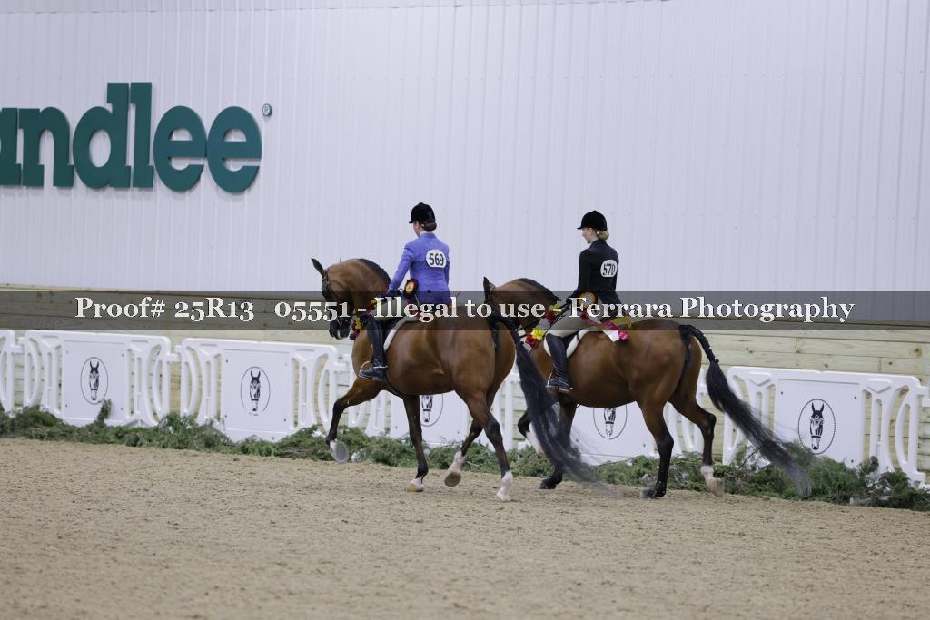 Proof Number 25R13_05551