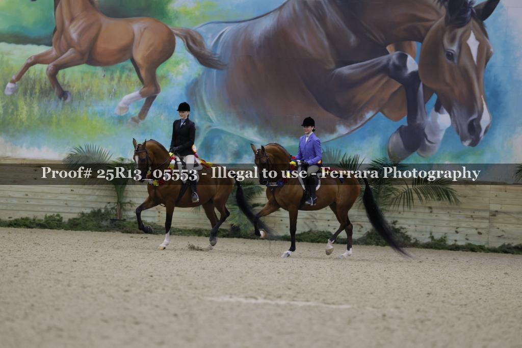 Proof Number 25R13_05553