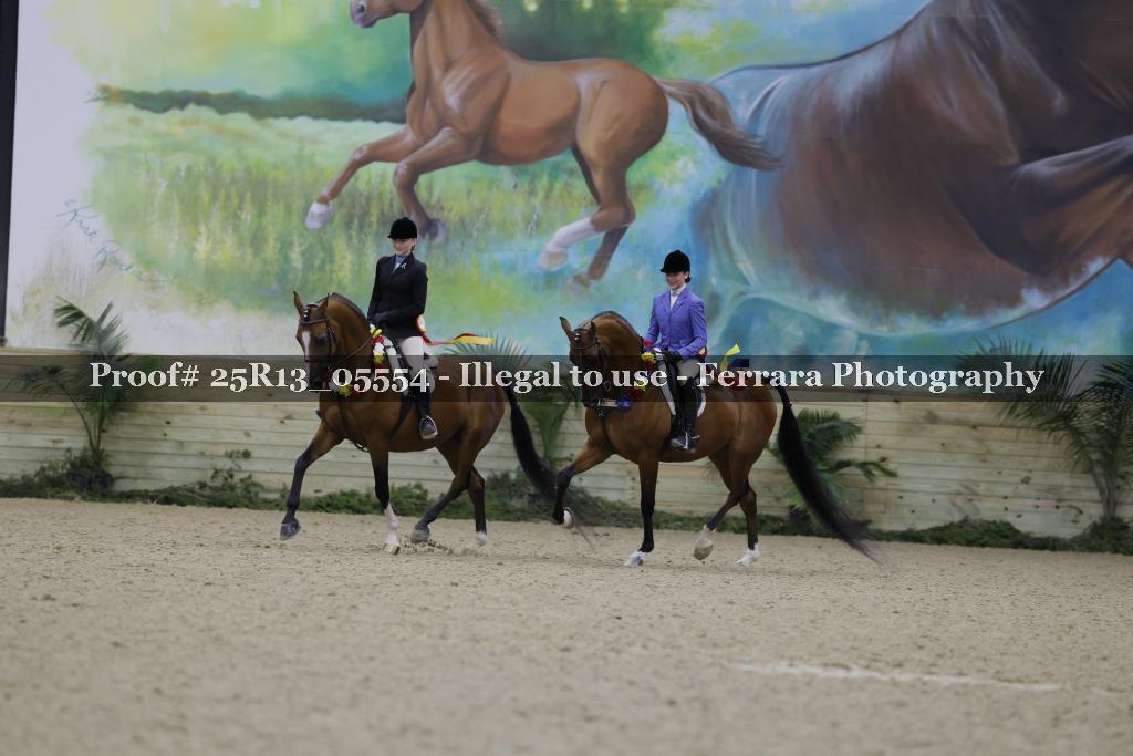 Proof Number 25R13_05554