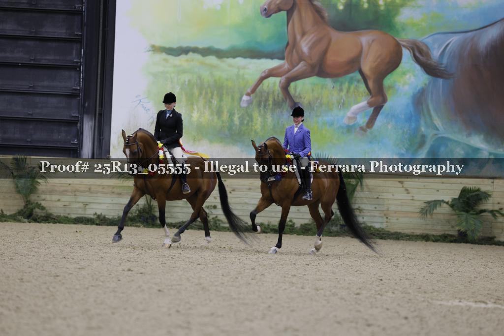 Proof Number 25R13_05555