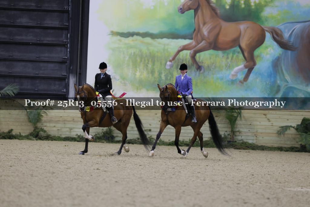 Proof Number 25R13_05556