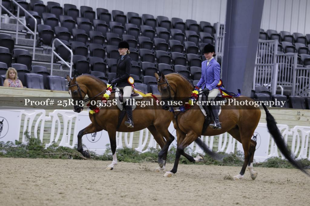 Proof Number 25R13_05558