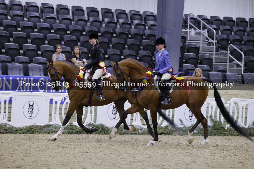 Proof Number 25R13_05559