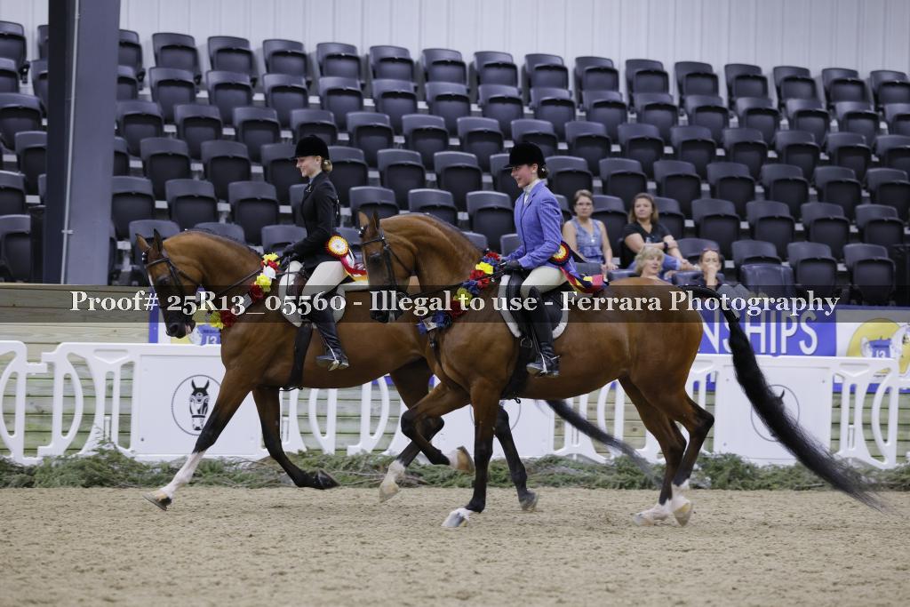 Proof Number 25R13_05560
