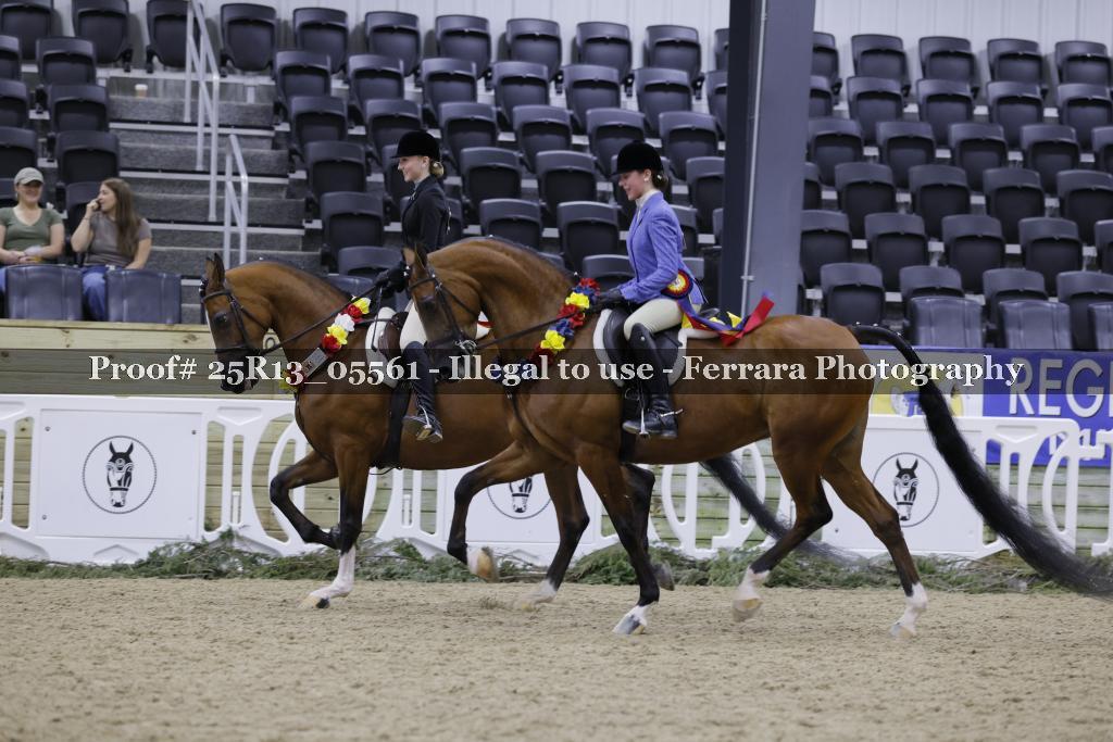 Proof Number 25R13_05561