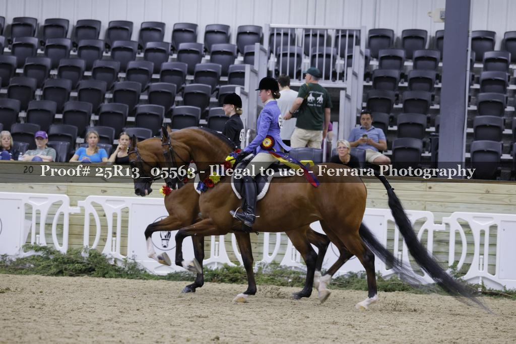 Proof Number 25R13_05563