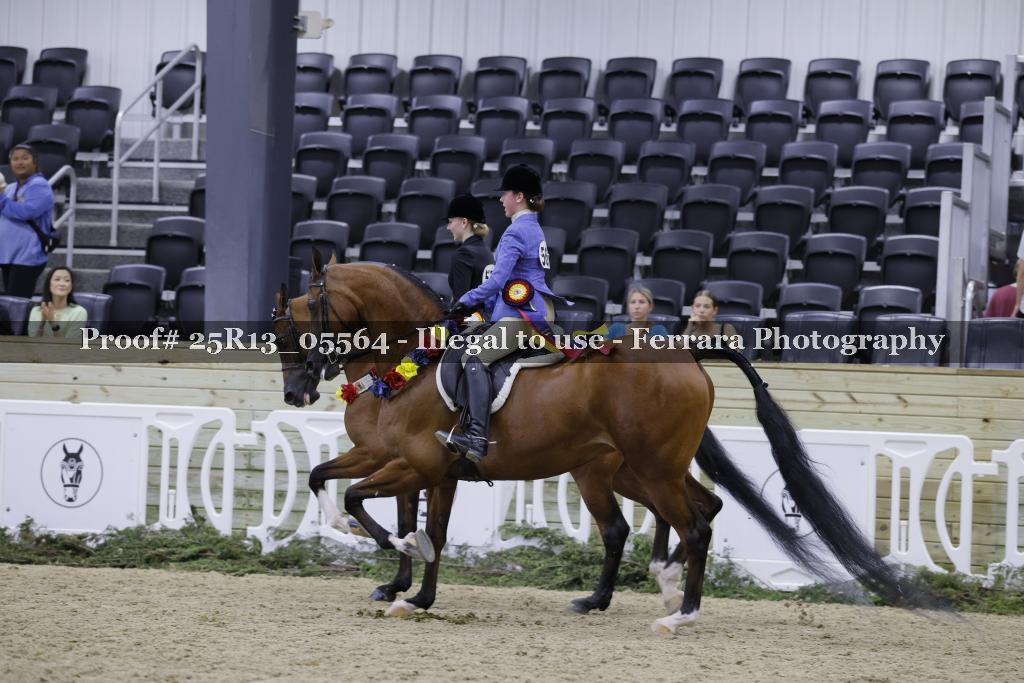 Proof Number 25R13_05564