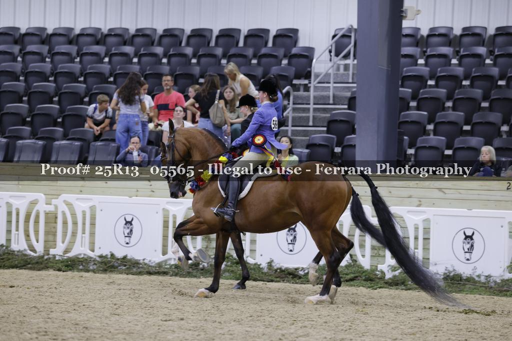 Proof Number 25R13_05565
