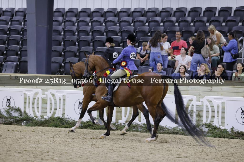 Proof Number 25R13_05566
