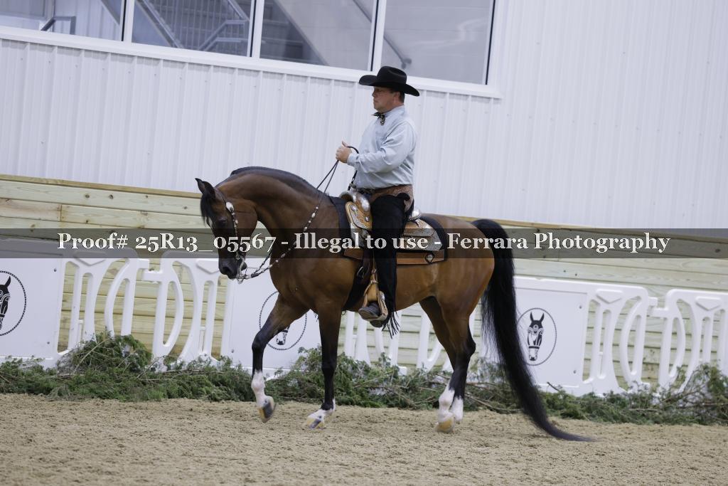 Proof Number 25R13_05567