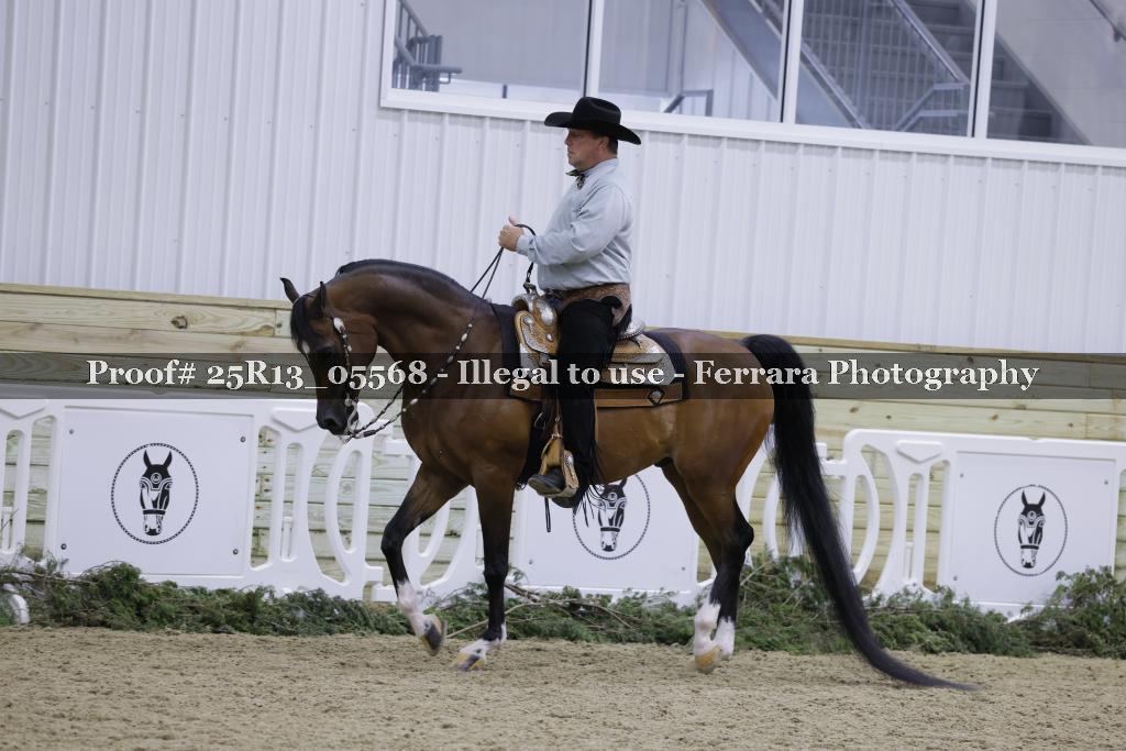 Proof Number 25R13_05568