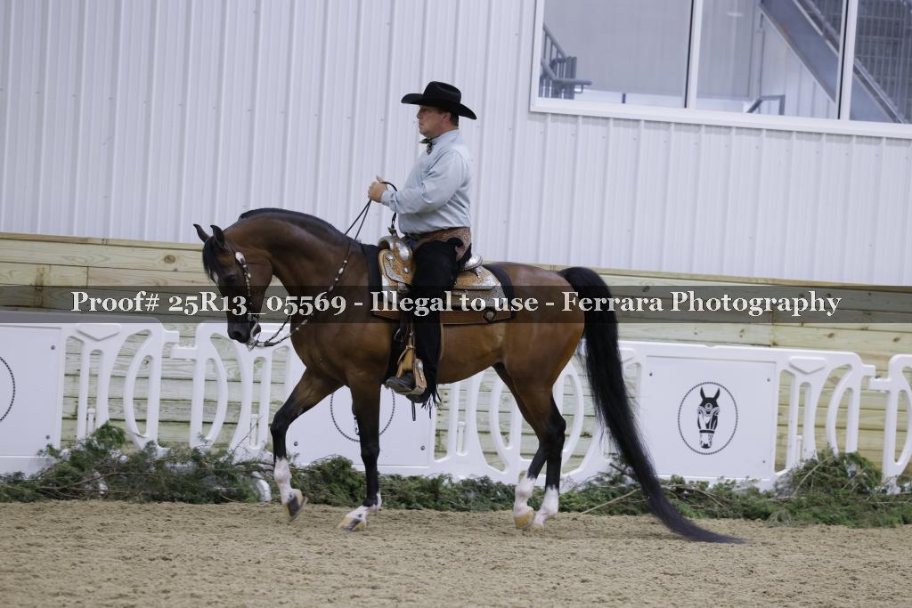 Proof Number 25R13_05569