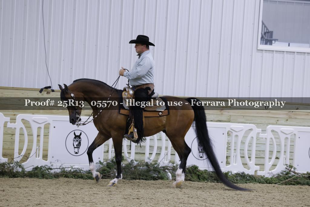 Proof Number 25R13_05570