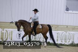 25R13_05570 thumbnail