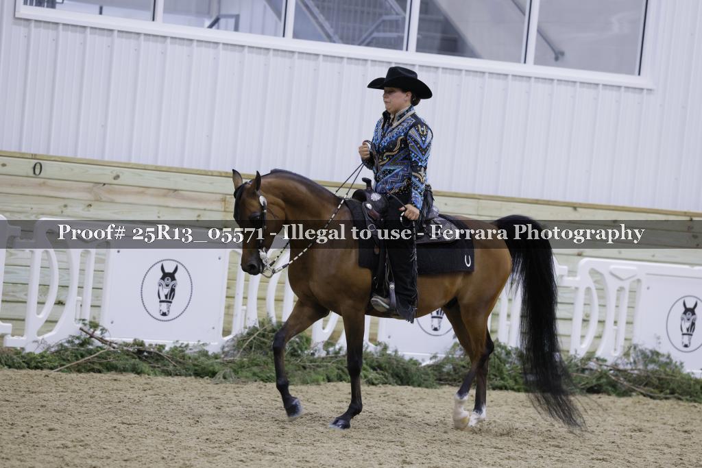 Proof Number 25R13_05571