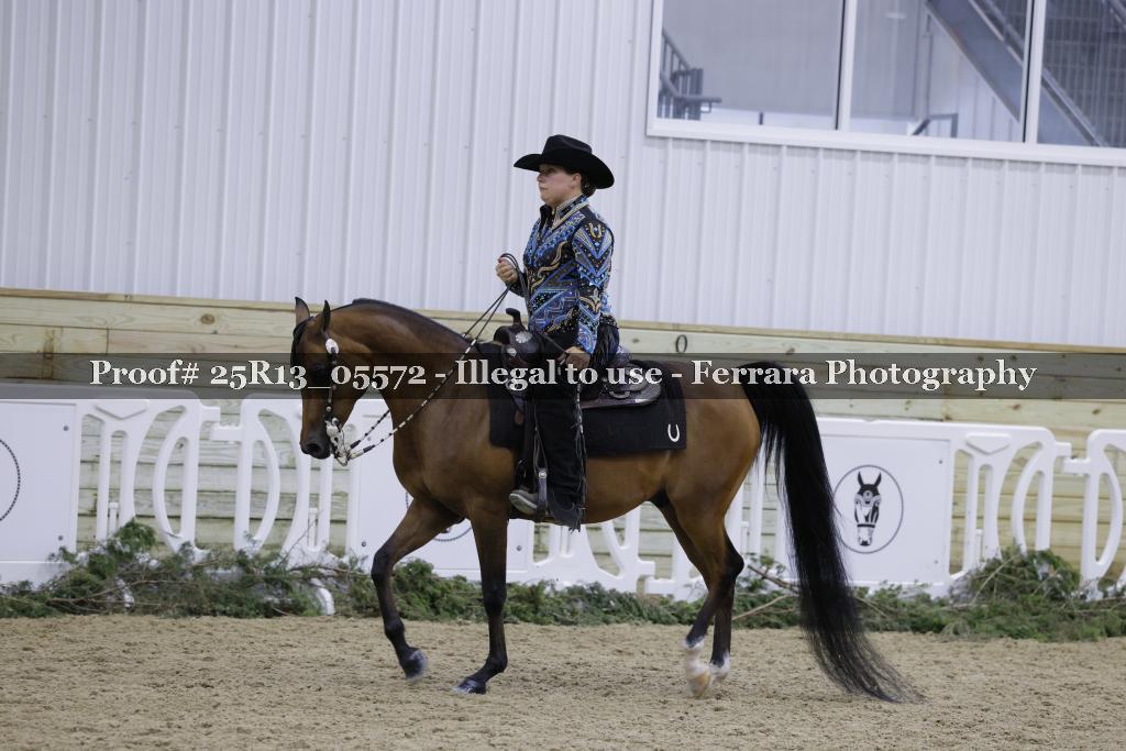 Proof Number 25R13_05572