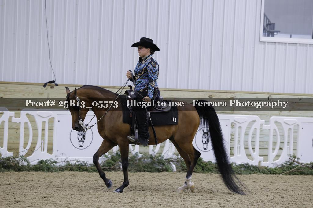Proof Number 25R13_05573