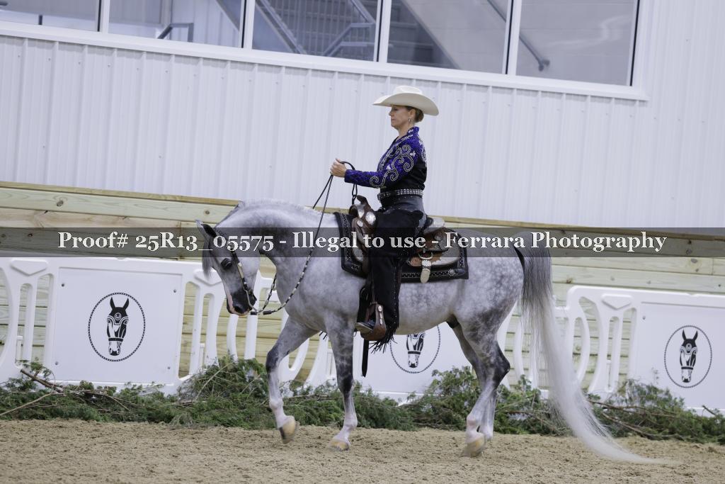 Proof Number 25R13_05575