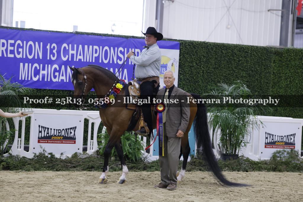 Proof Number 25R13_05589