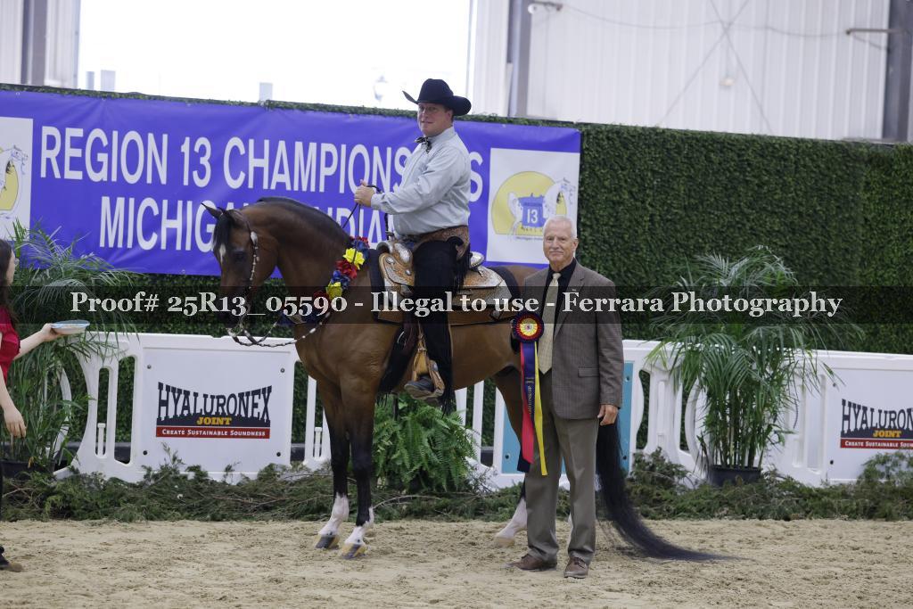 Proof Number 25R13_05590