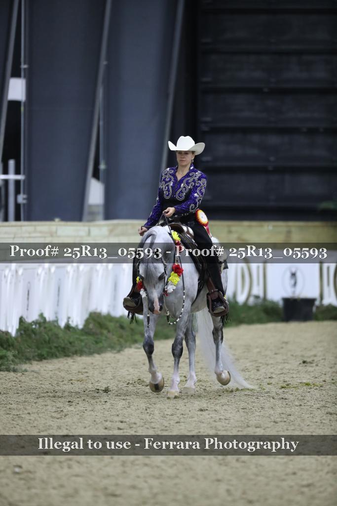 Proof Number 25R13_05593