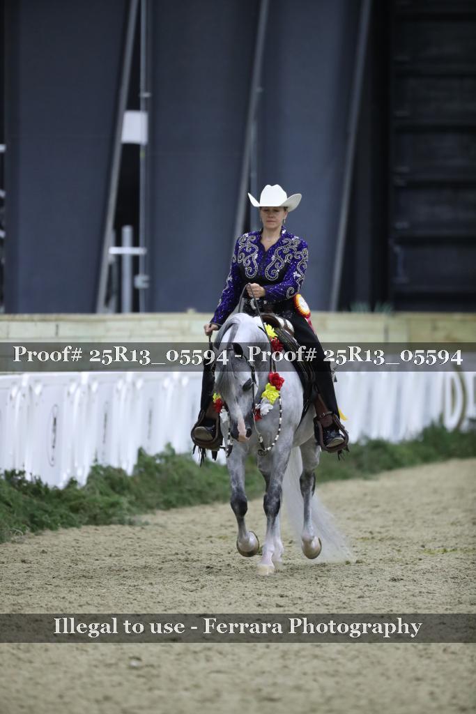 Proof Number 25R13_05594