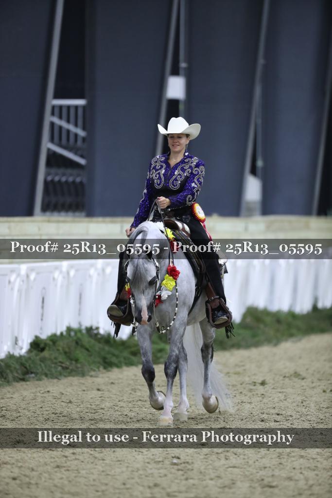 Proof Number 25R13_05595