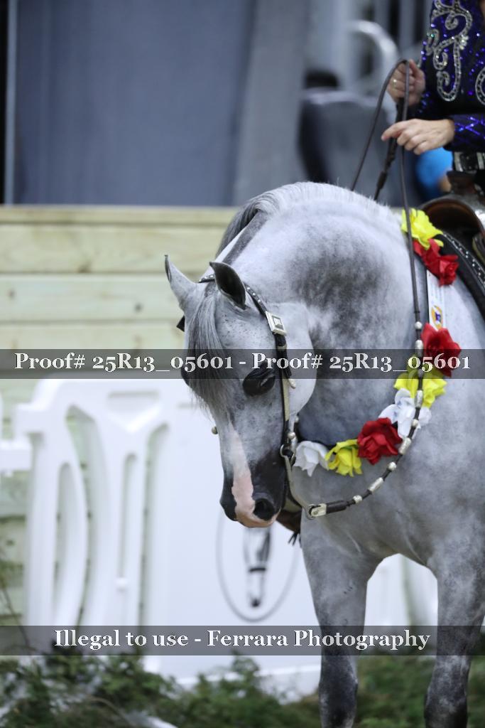 Proof Number 25R13_05601
