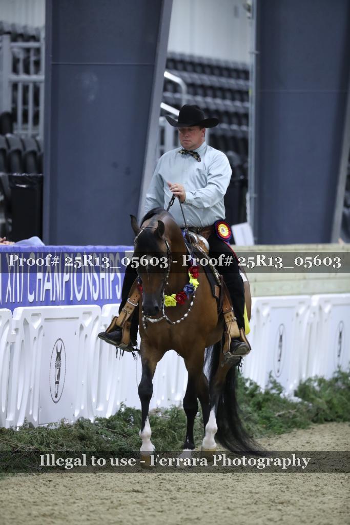 Proof Number 25R13_05603