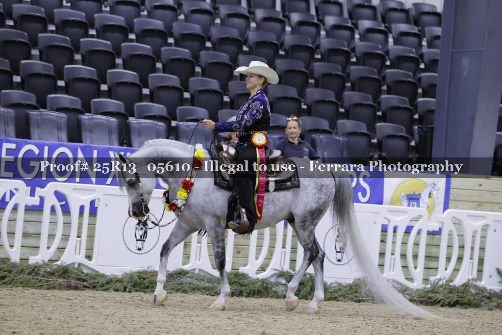 Proof Number 25R13_05610