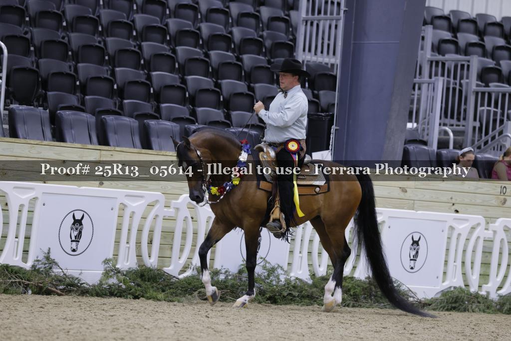 Proof Number 25R13_05614