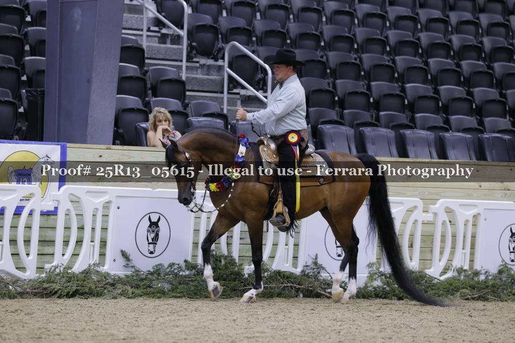 Proof Number 25R13_05615