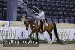 25R13_05615 thumbnail