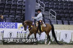 25R13_05616 thumbnail