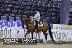 25R13_05617 thumbnail