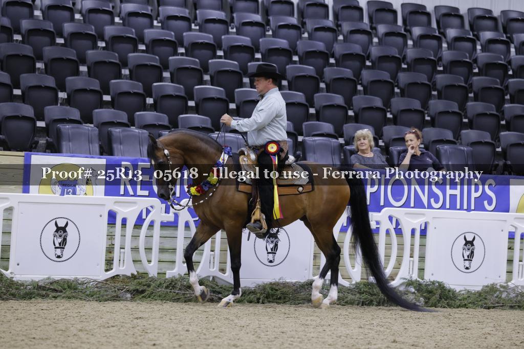 Proof Number 25R13_05618