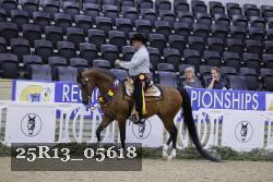 25R13_05618 thumbnail