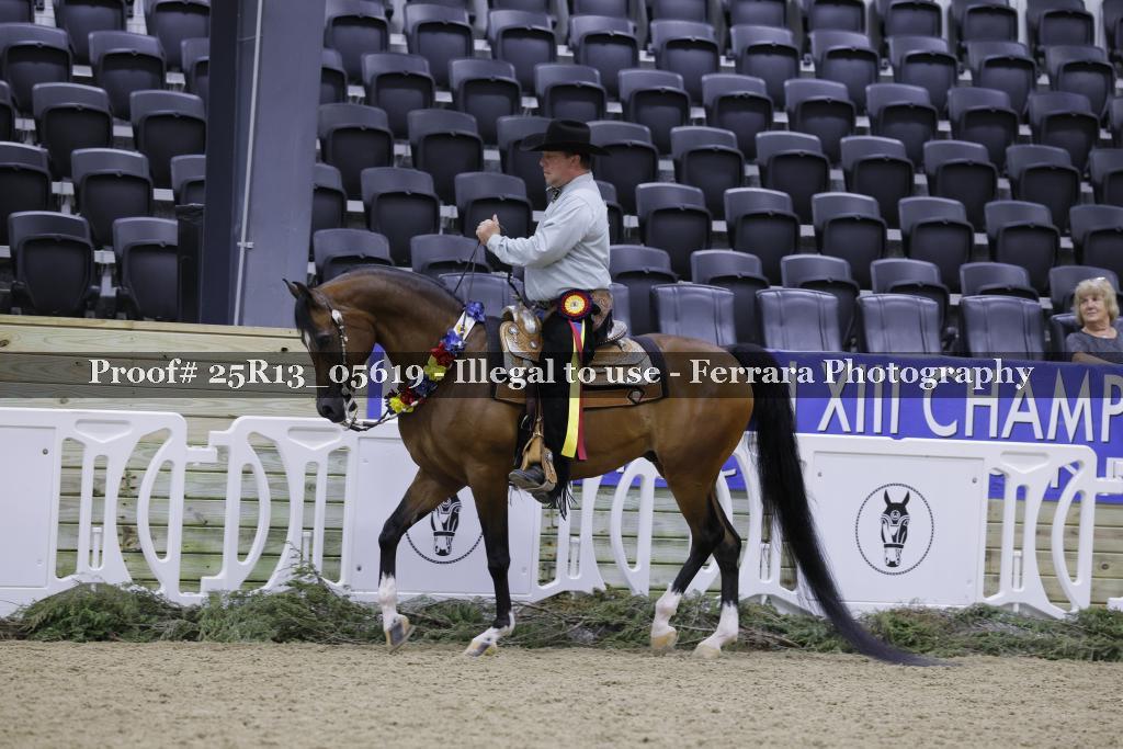 Proof Number 25R13_05619
