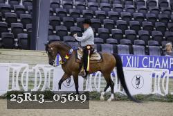 25R13_05619 thumbnail