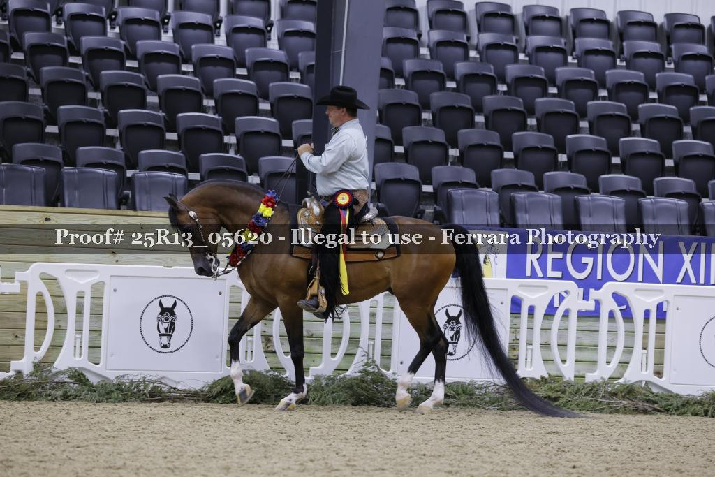 Proof Number 25R13_05620