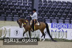 25R13_05620 thumbnail