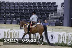 25R13_05622 thumbnail