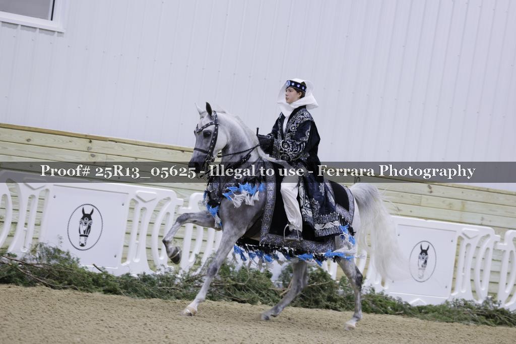 Proof Number 25R13_05625