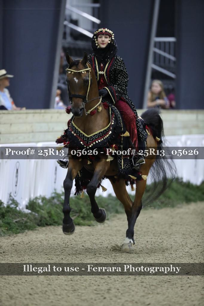 Proof Number 25R13_05626