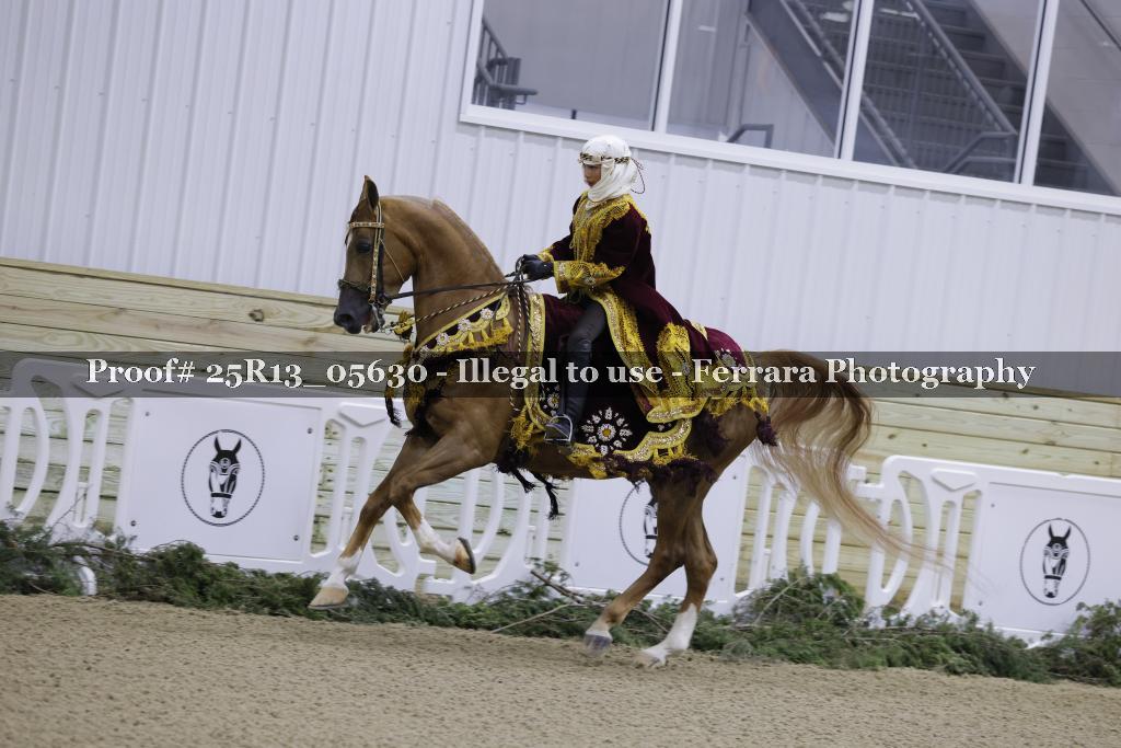 Proof Number 25R13_05630