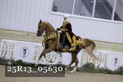 25R13_05630 thumbnail