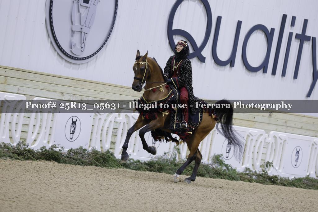 Proof Number 25R13_05631