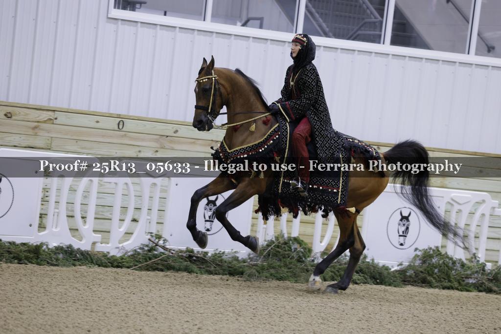 Proof Number 25R13_05633